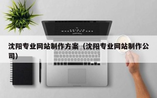 伊犁哈萨克沈阳专业网站制作方案（沈阳专业网站制作公司）
